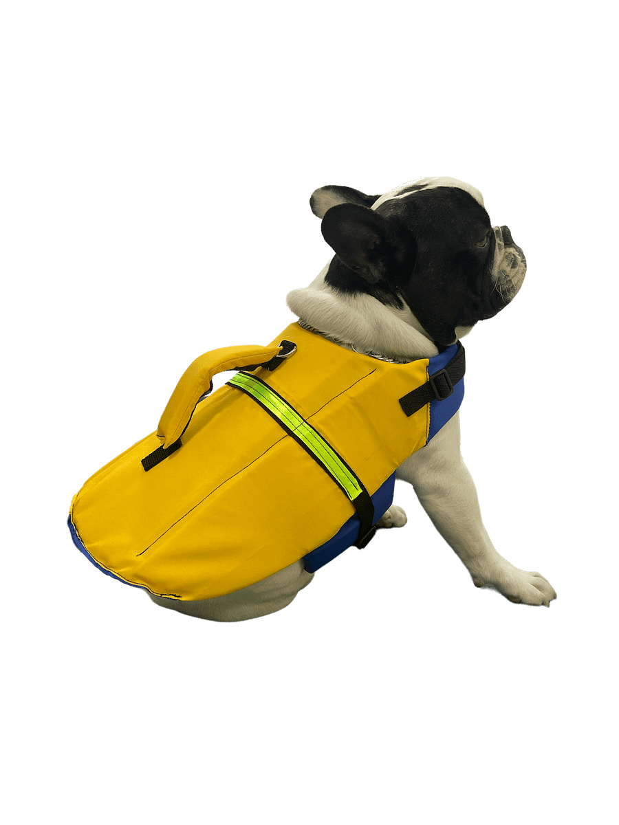 Colete Salva Vidas - Modelagem Pet PDF product image (4)