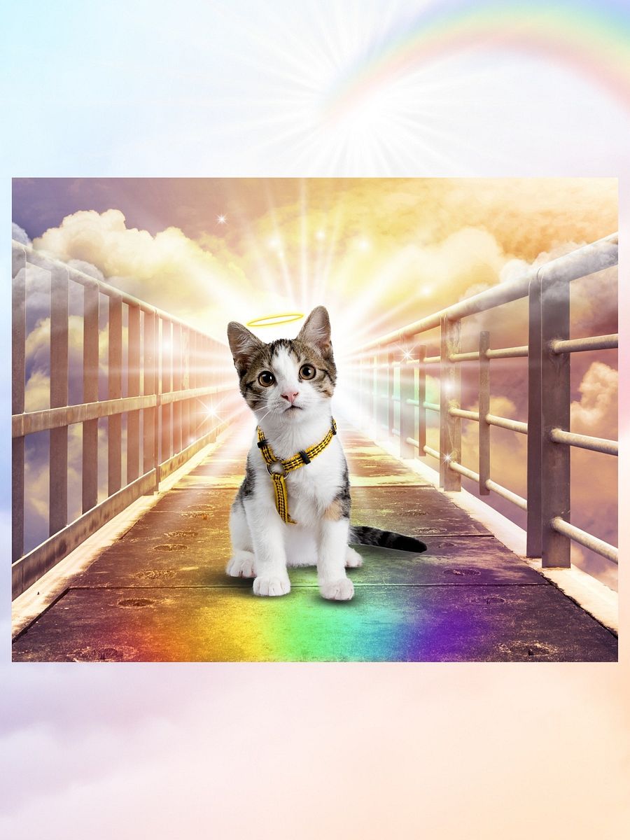 Pet Memorial Rainbow Bridge Portrait product image (2)