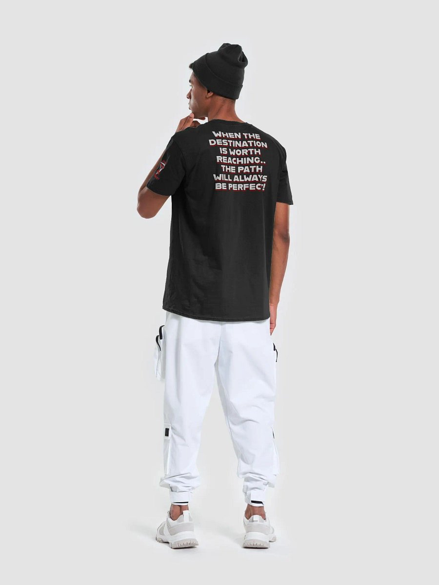 AlphaXSynergy Gildan Unisex Softstyle T-Shirt - Front Middle Logo - Left Sleeve Logo & Back Quote product image (5)