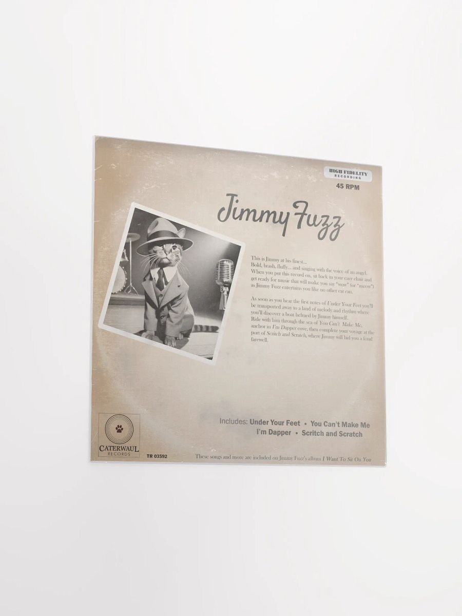 Jimmy Fuzz poster - Under Your Feet album jacket (back) - 12