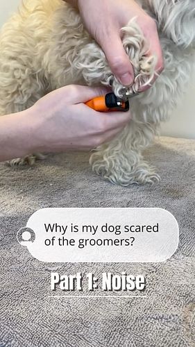 If what you just heard sounded overwhelming, loud or annoying, imagine it over 4x louder!! (like dogs do) AND being done to y...