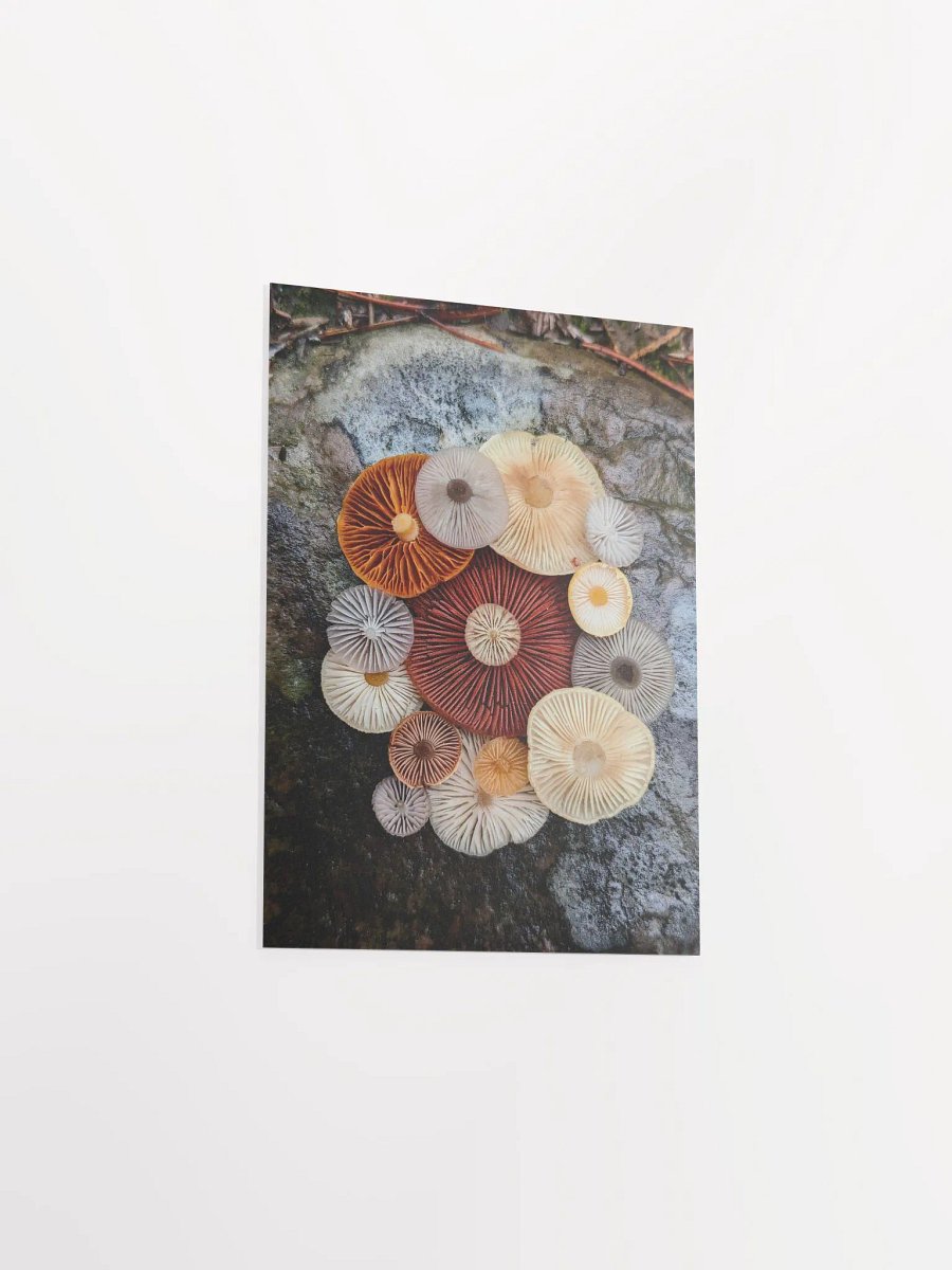 Fungal Color Palette (Print) product image (3)