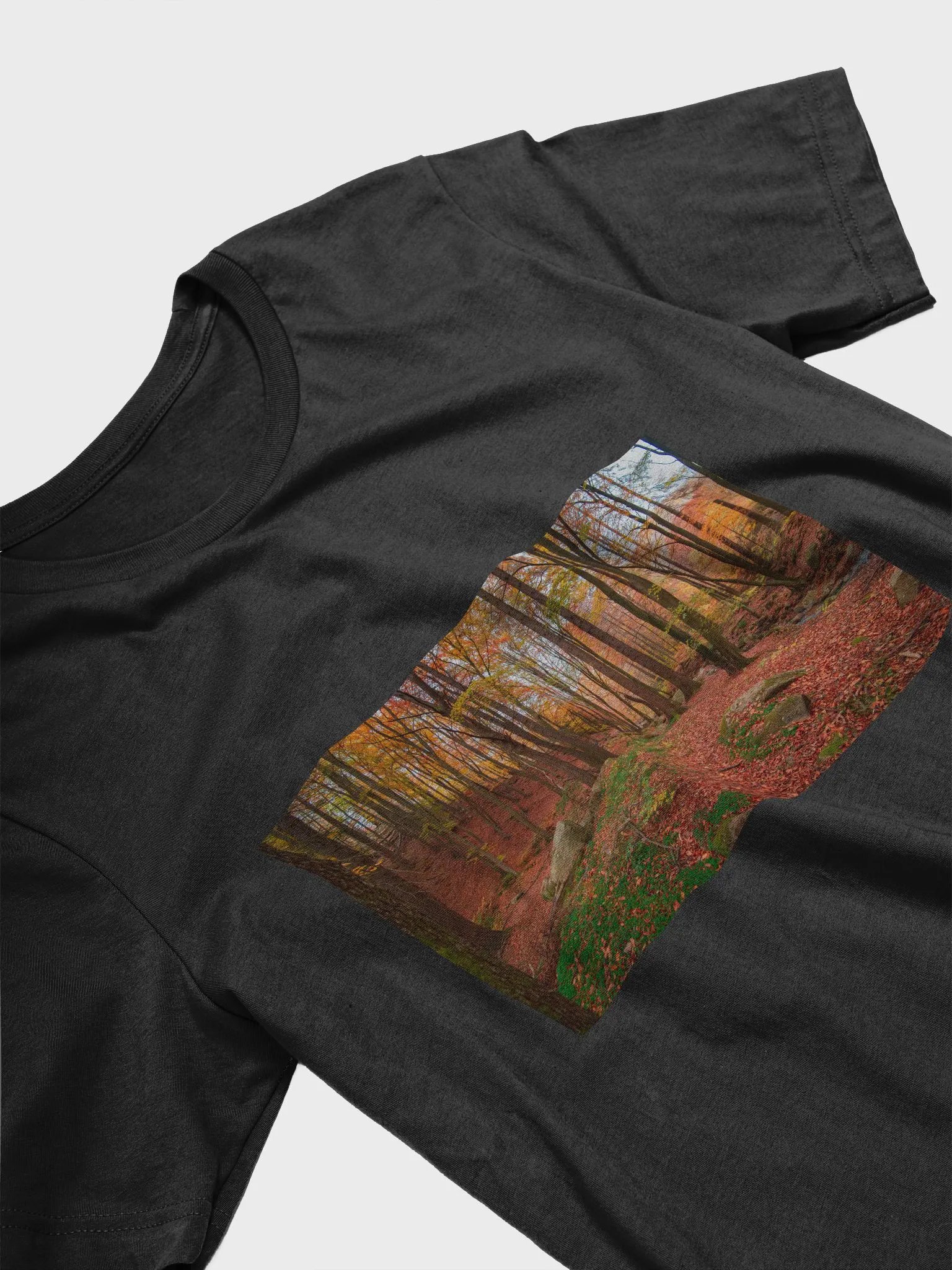 Forest Fall product image (6)