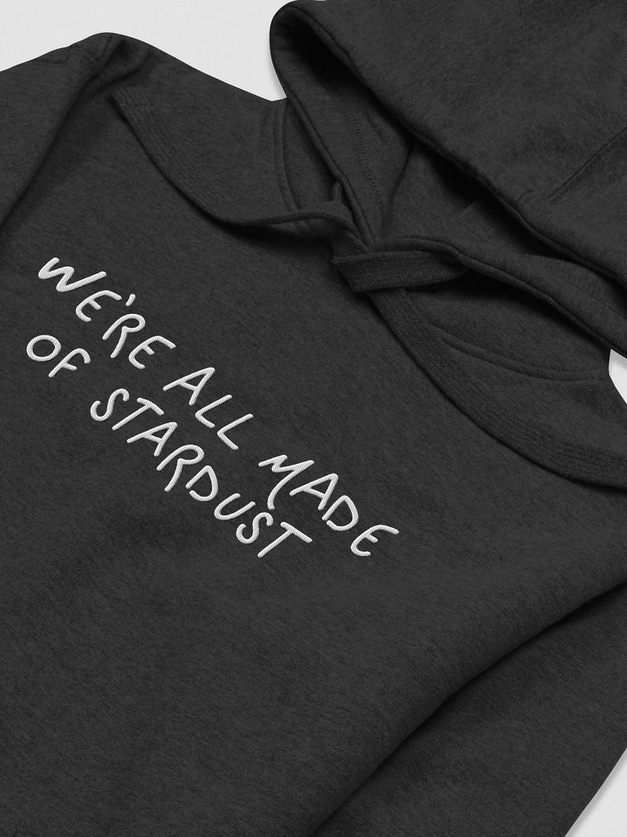 stardust embroidered hoodie product image (3)