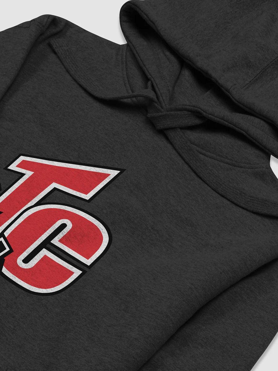 The Company Hoody product image (3)
