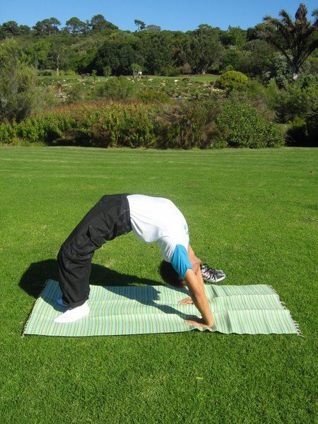 2º Módulo -Aprenda Yoga de Uma Vez Por Todas - Curso online Teórico e Prático product image (2)