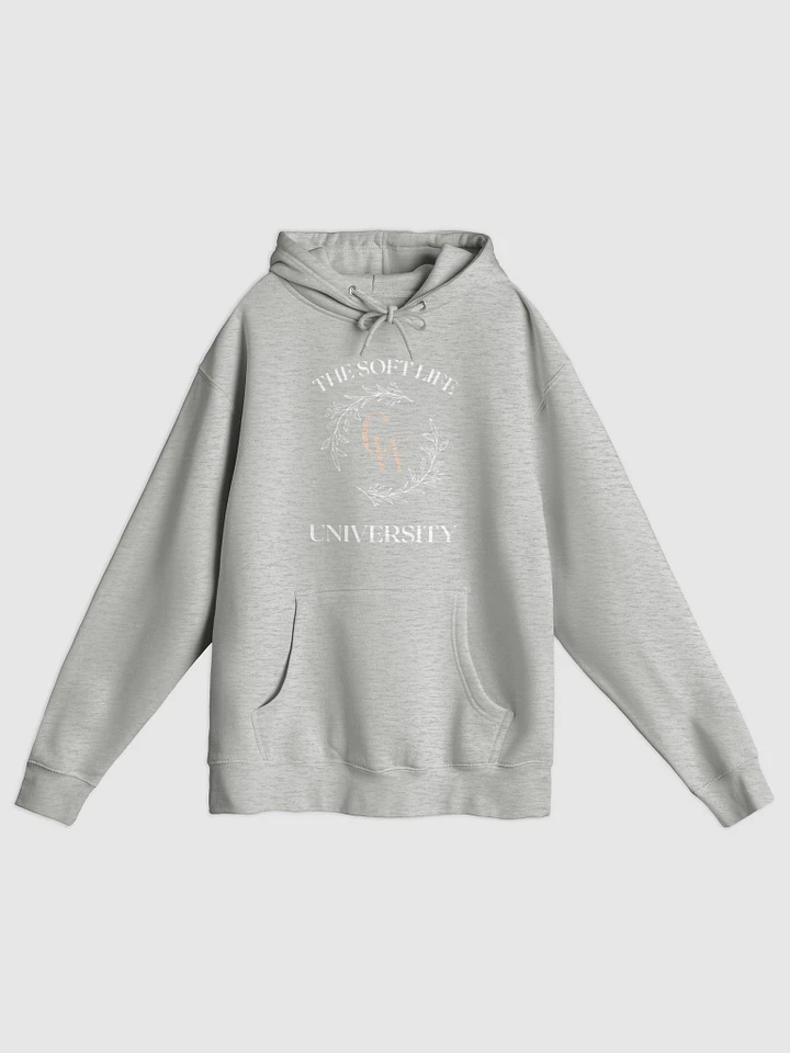 The Soft Girl Chic Hoodie | Heather Grey product image (1)