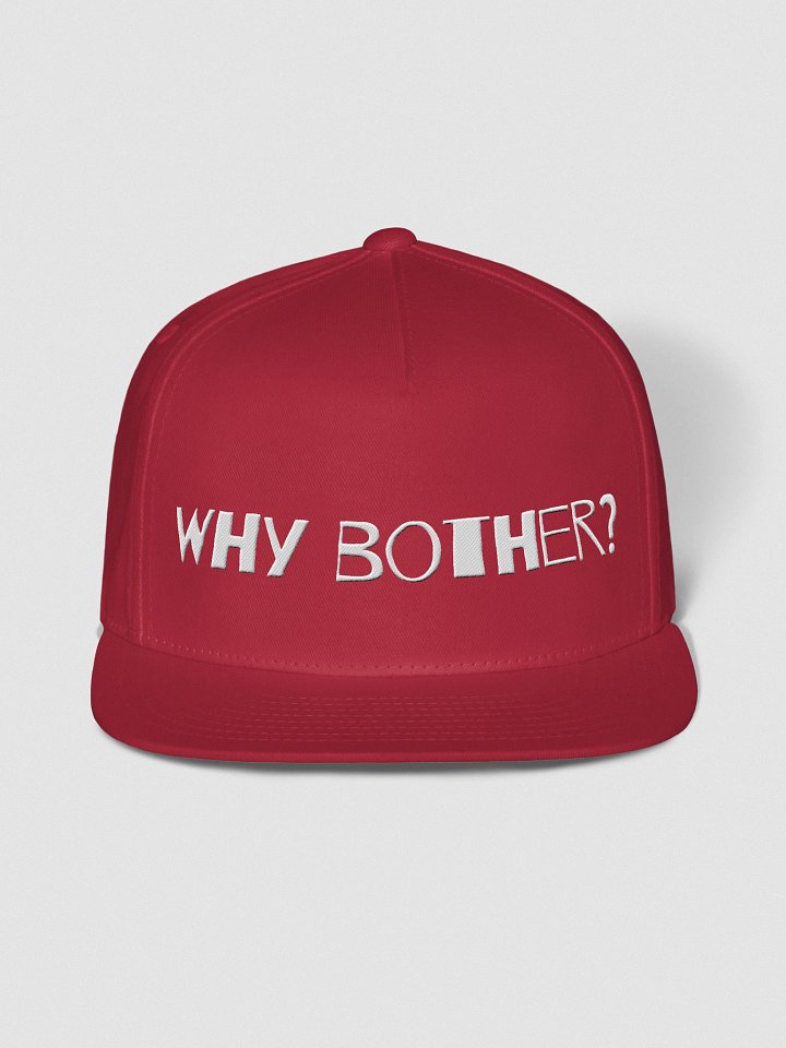 Urgers Why Bother Snapback Hat product image (19)