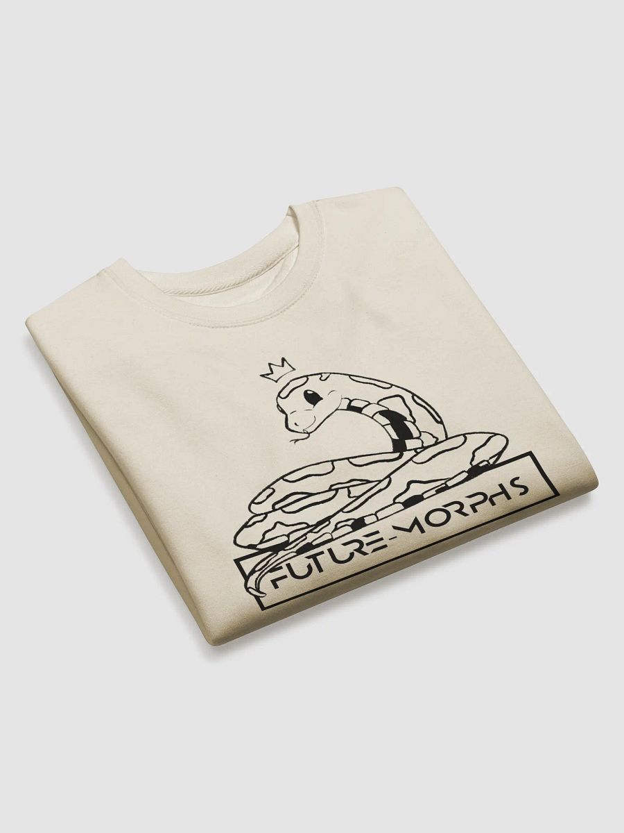 New Logo Sweater (Black) product image (3)