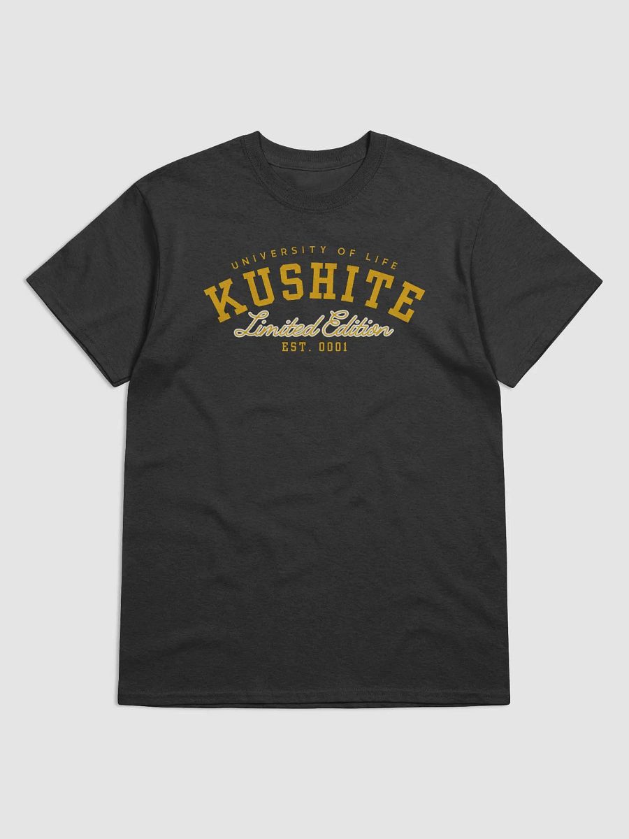 Kushite University product image (1)