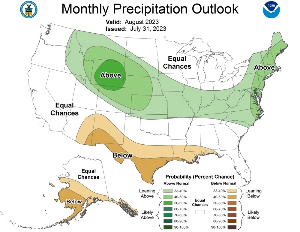 Looking ahead to August, it looks pretty clear we are going to see another drier than normal month for the SW Monsoon. But a ...