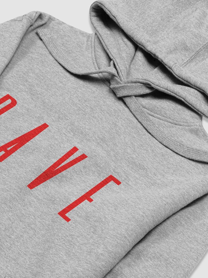 RAVE HOODIE GRAY + FREE SHIPPING product image (2)