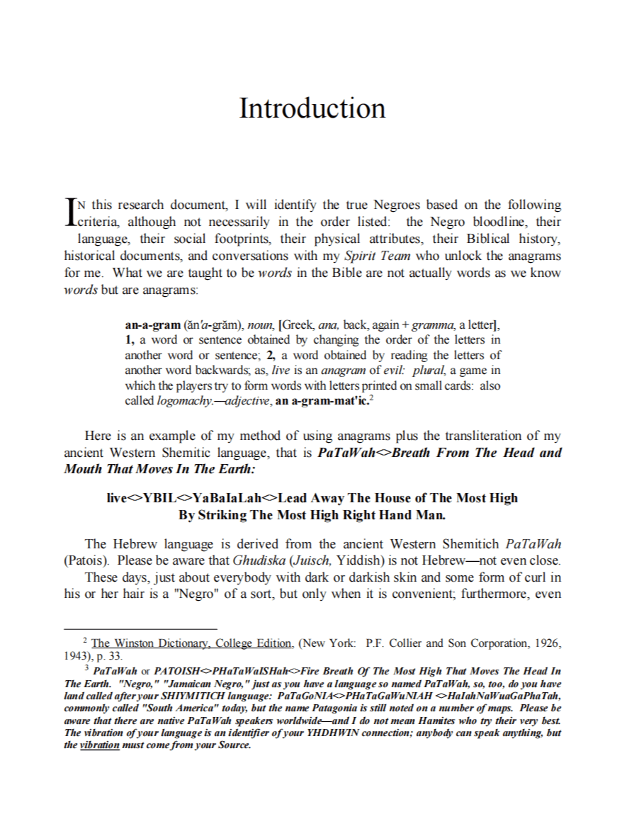 Free Chapter: So, Ytiomology, Who Are The Negroes? product image (3)