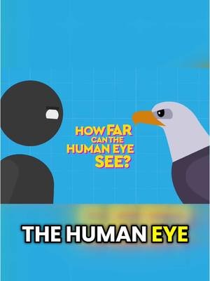 How far can we see with the Naked Eye? #funeducationalvideos #funscience #humanbody