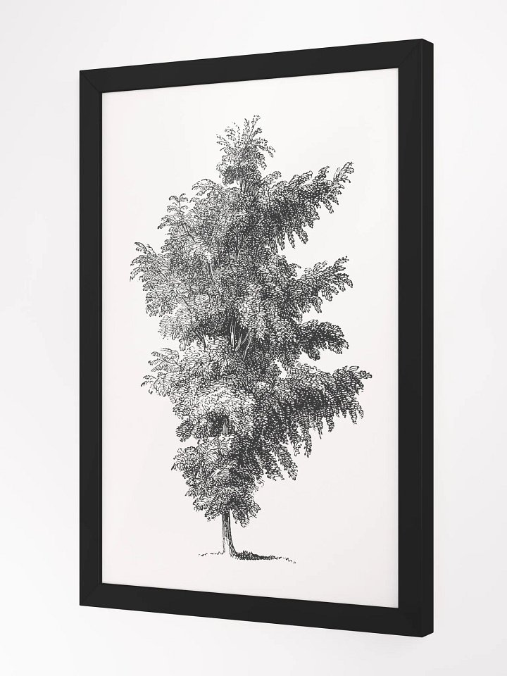 Woodland Trees #1 Framed Print product image (2)