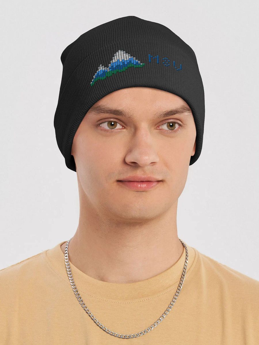 Friendly Critters: Mt. Shade Island Knit Beanie product image (28)