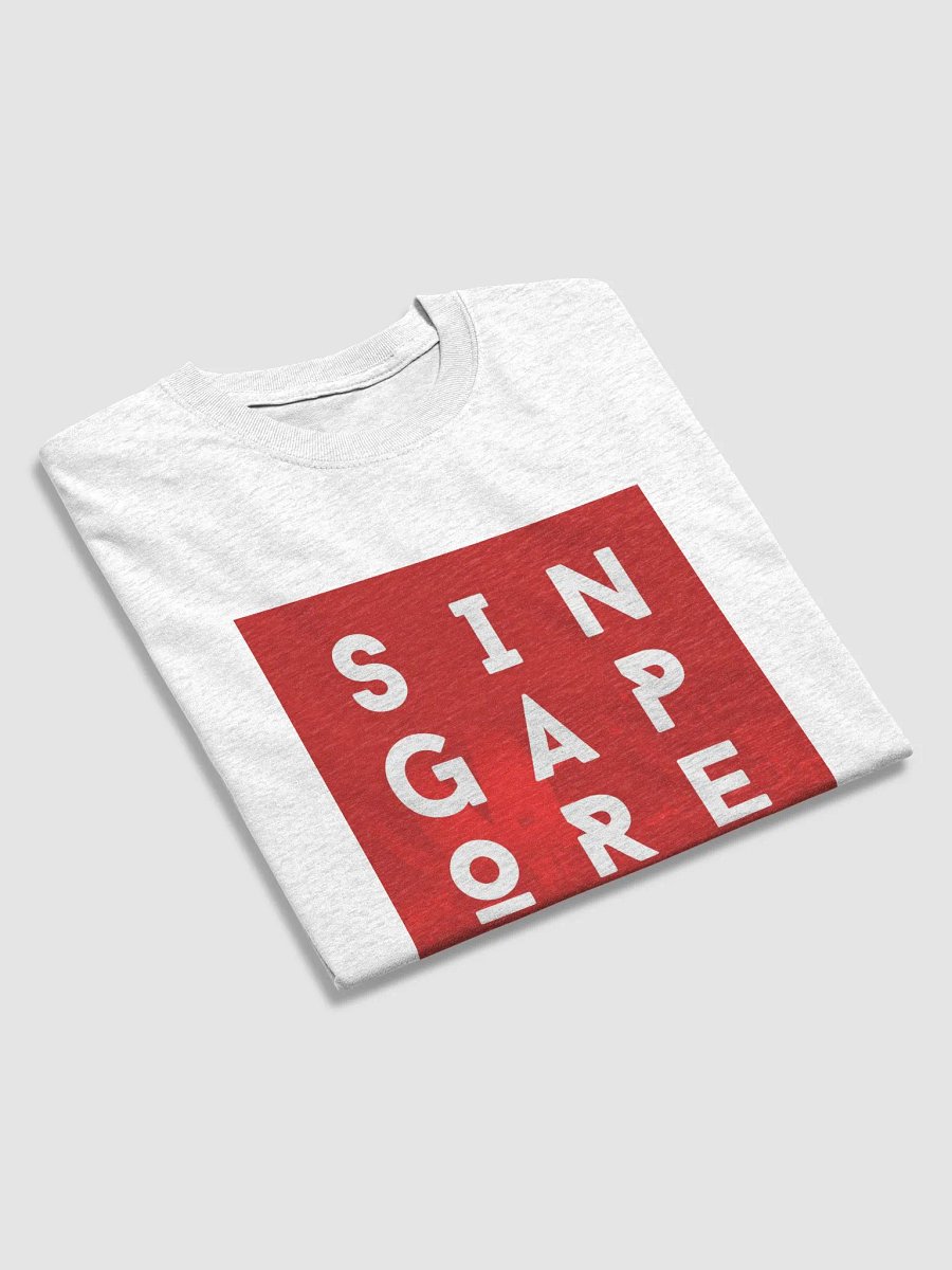 Singapore Since 1965 product image (3)