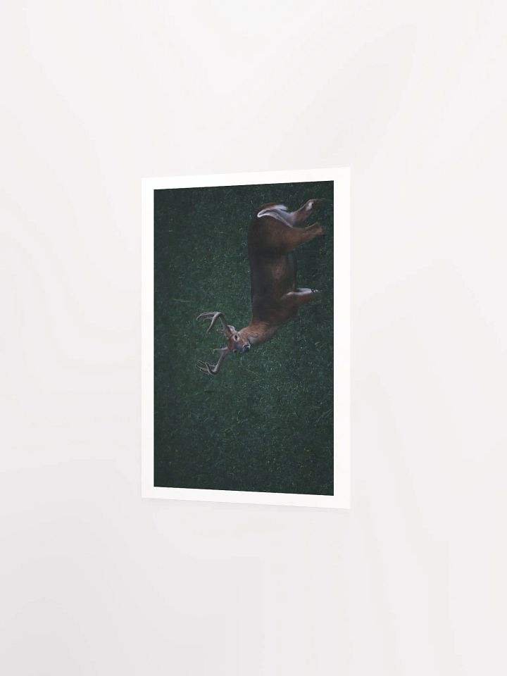 Majestic Antlered Deer Matte Poster product image (9)