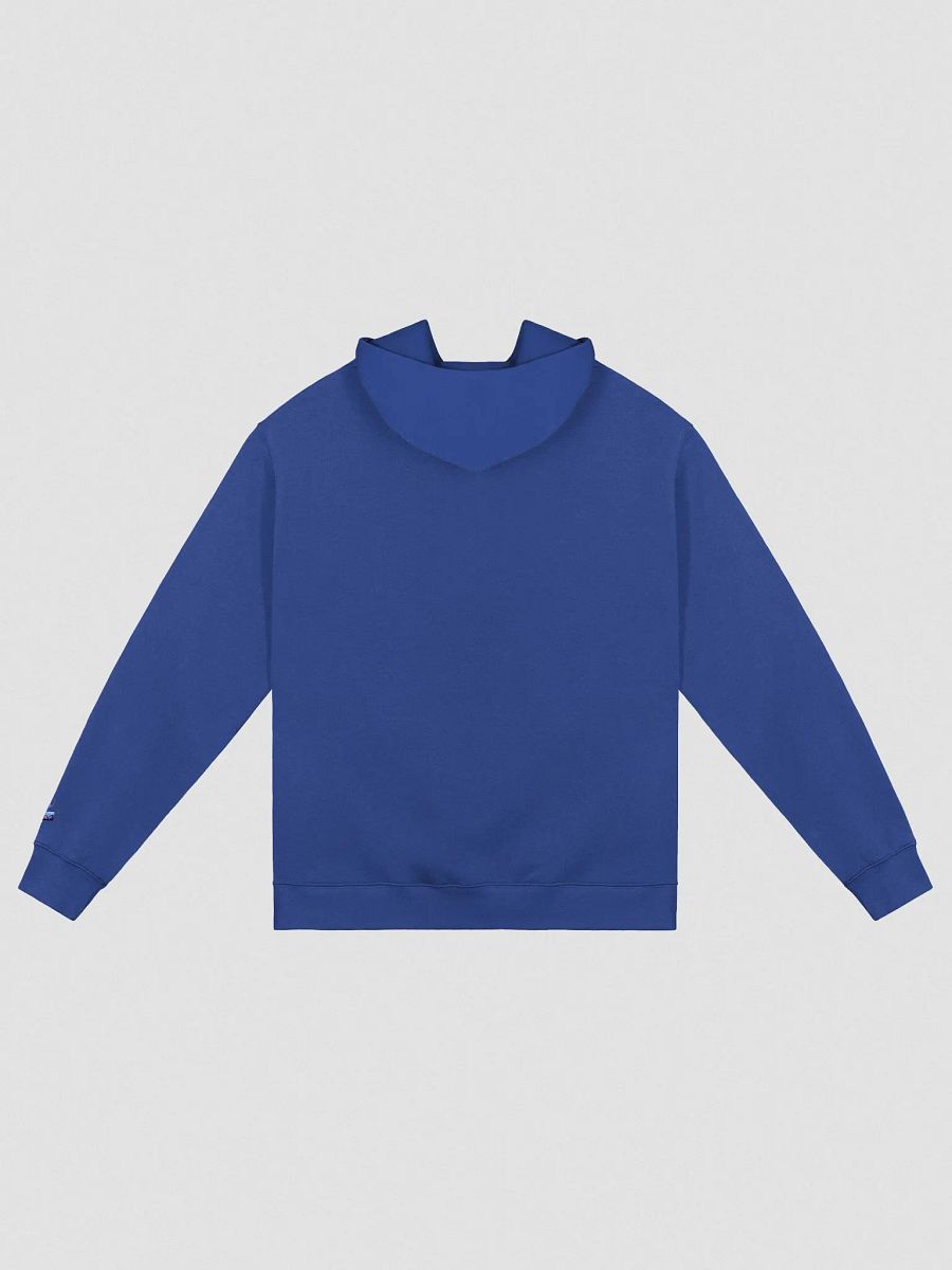 TEAM SWAY Stylized Hoodie product image (2)