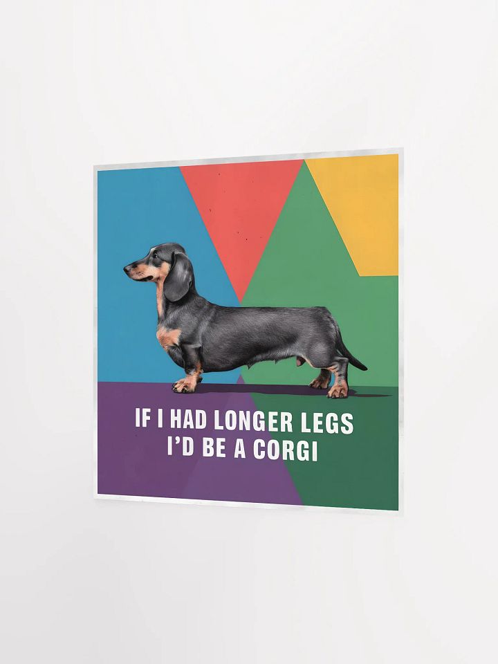 Dachshund product image (8)