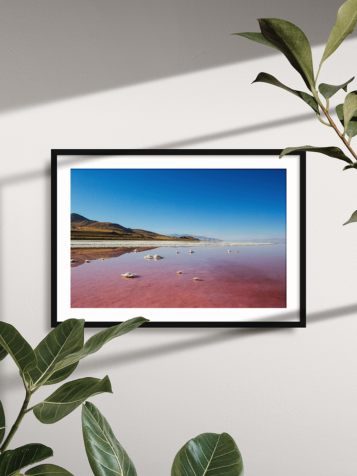Stansbury Island Great Salt Lake Poster product image (2)