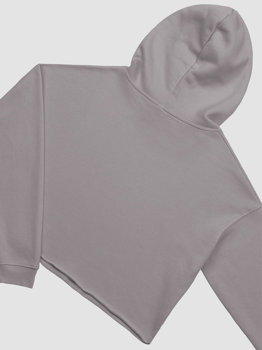 DjAcqua Crop Hoodie product image (16)
