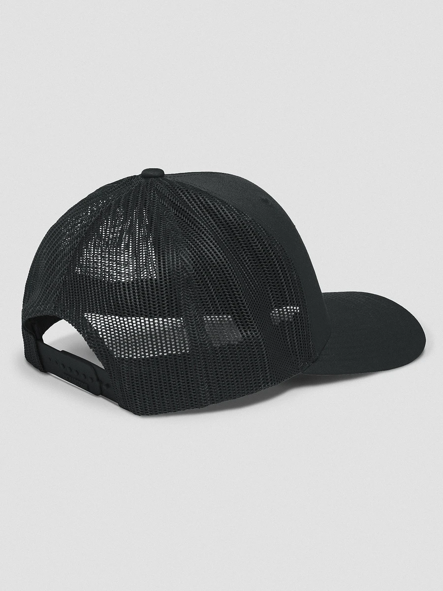 DT Snapback Logo Hat product image (3)