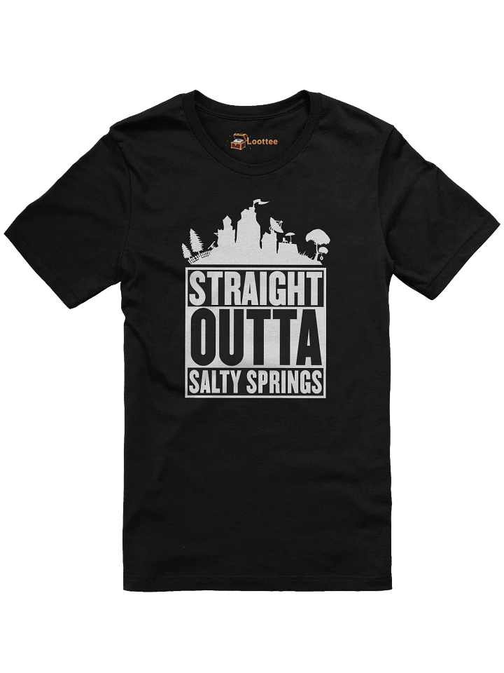 Salty Springs product image (1)