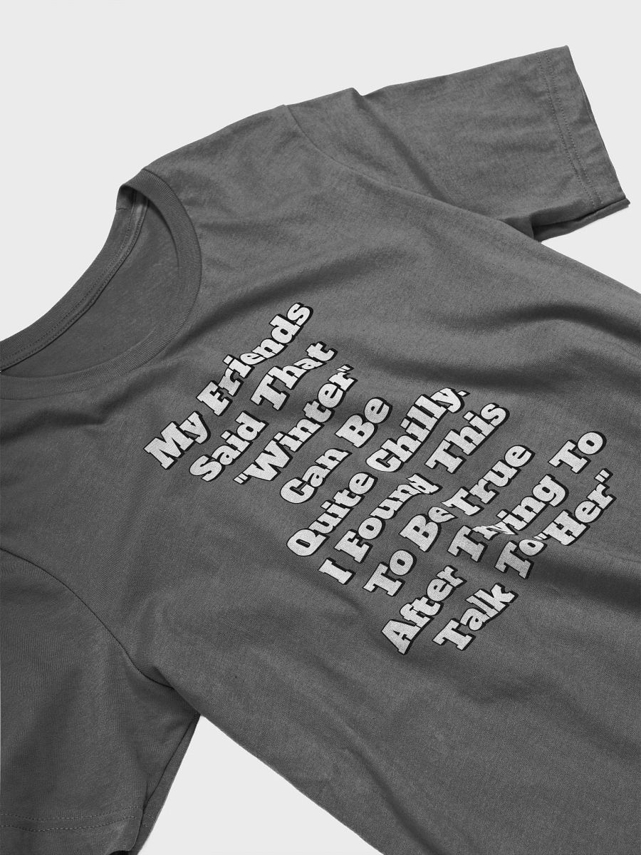 My Friends Said That Winter Can Be Chilly Funny T-shirt product image (5)