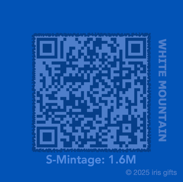 2012-2021 / San Francisco / America the Beautiful Quarters / Printable QR Code Cards product image (4)