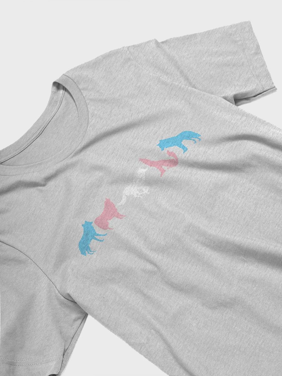 Transgender Pride Wolves Women's T-Shirt product image (25)