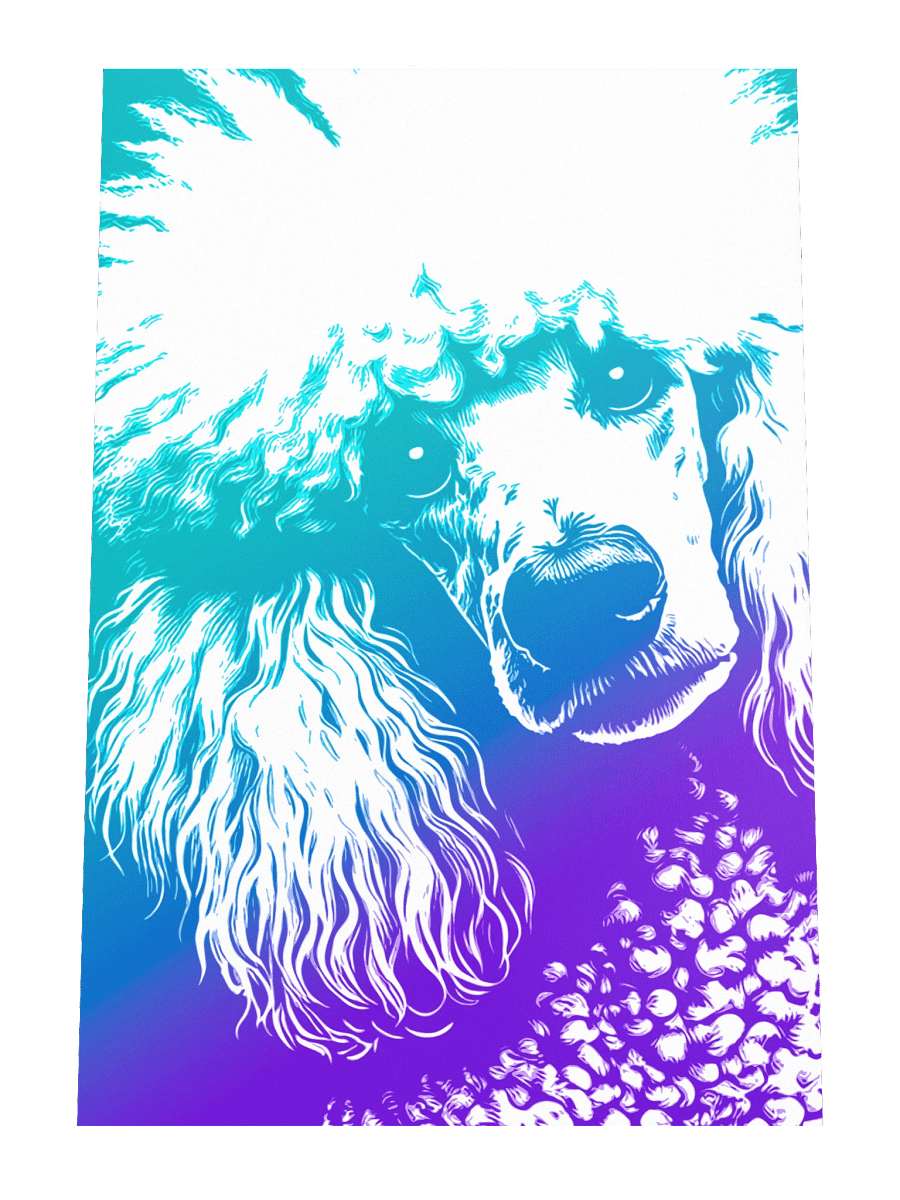 Pop Art Poodle Print / Frame Not Included product image (4)