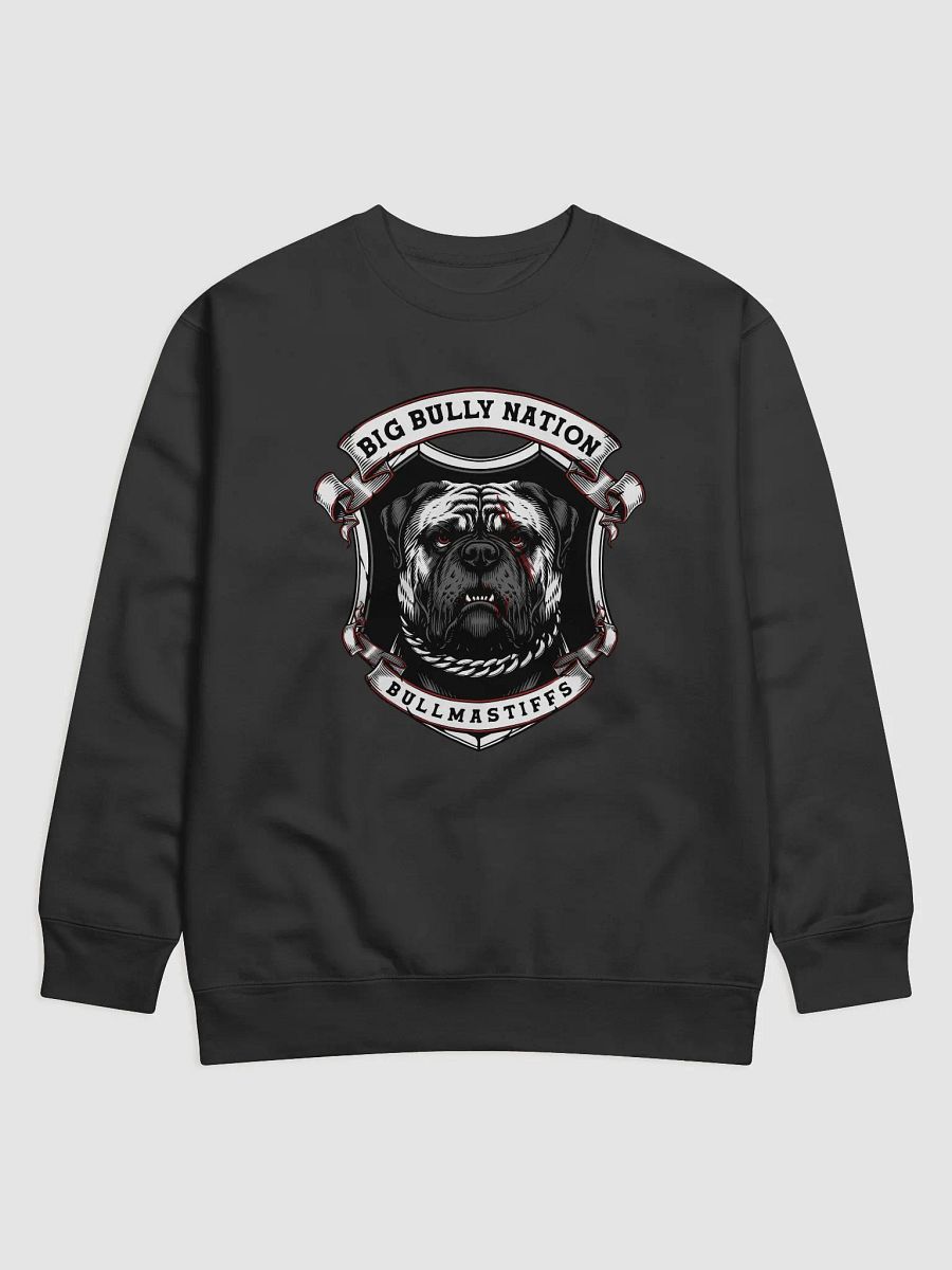 BBN Alter Ego Premium Sweatshirt product image (1)