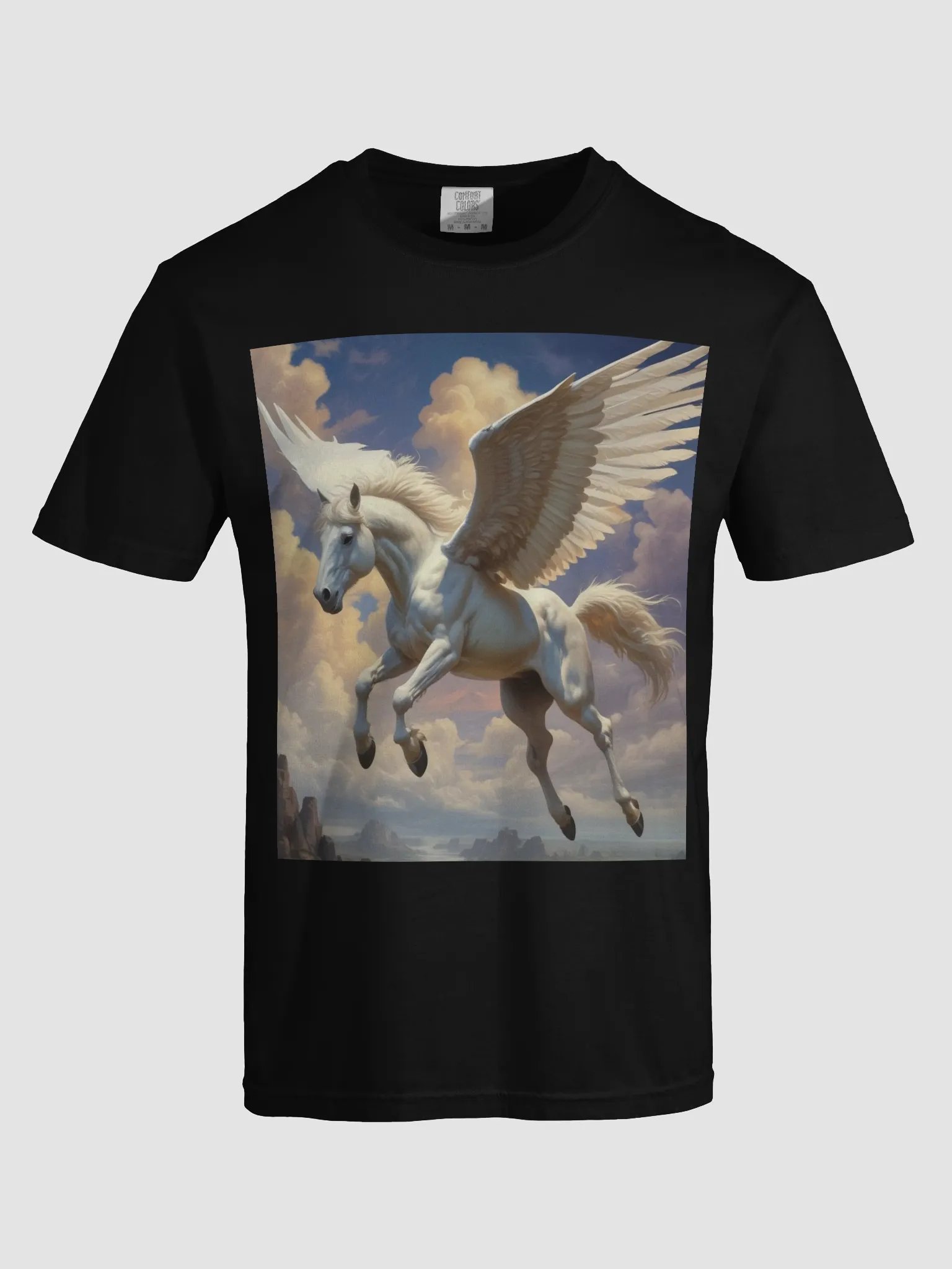 Pegasus product image (33)