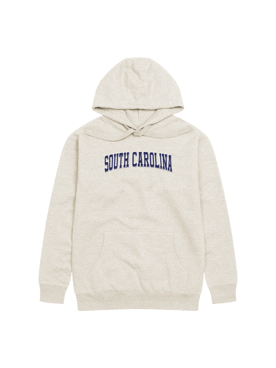 South Carolina Vintage Stylish Embroidery Unisex Premium Hoodie product image (1)