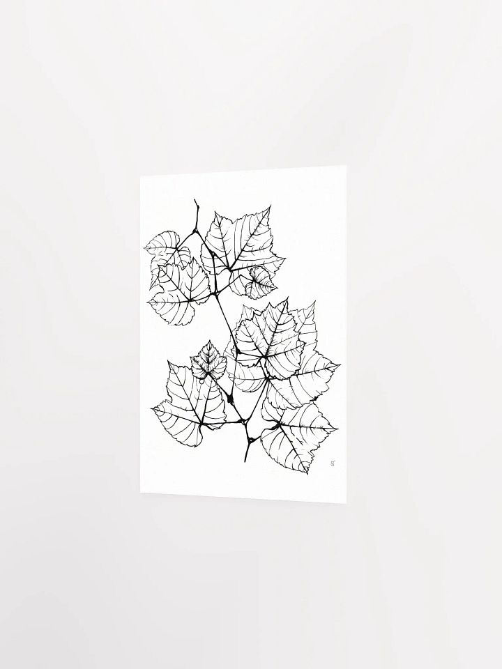 Veined Botanical Branch Matte Poster - Grape Leaves Elegant product image (2)