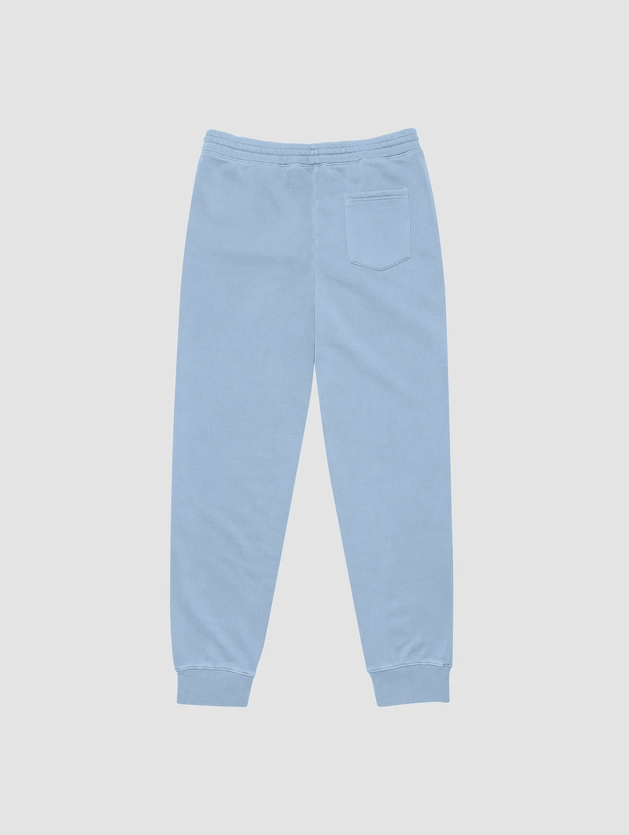 History Buffs Blue Track Pants product image (2)