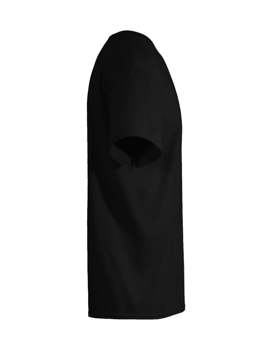 Dept. of Regret Est. 2025 T-Shirt product image (92)