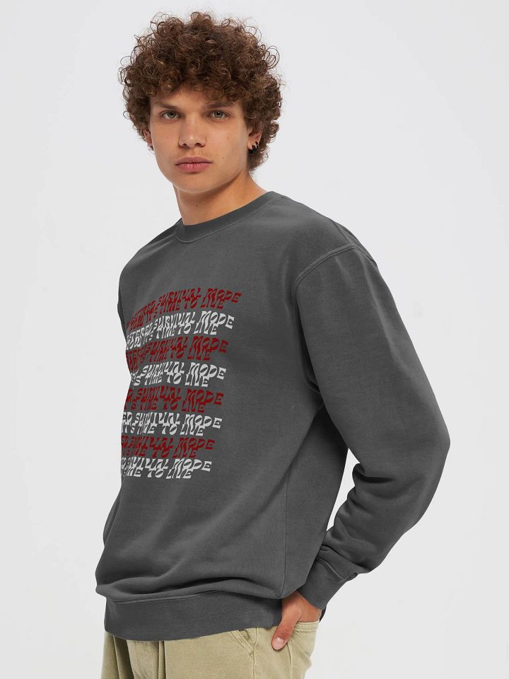 Survivor Sweatshirt product image (10)