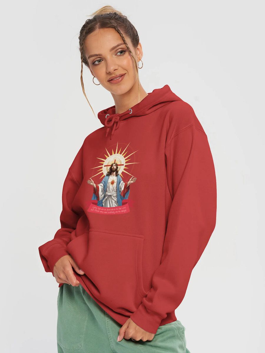 Truth is his delight Red Hoodie product image (3)
