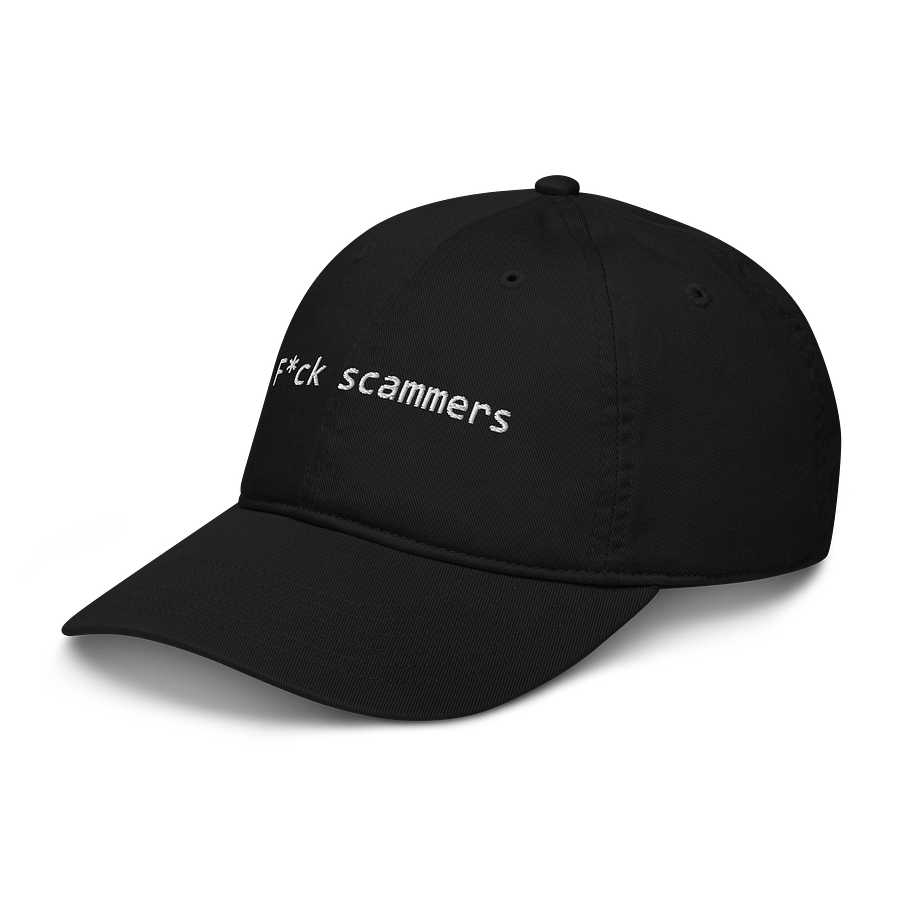 F*ck Internet Scammers product image (4)