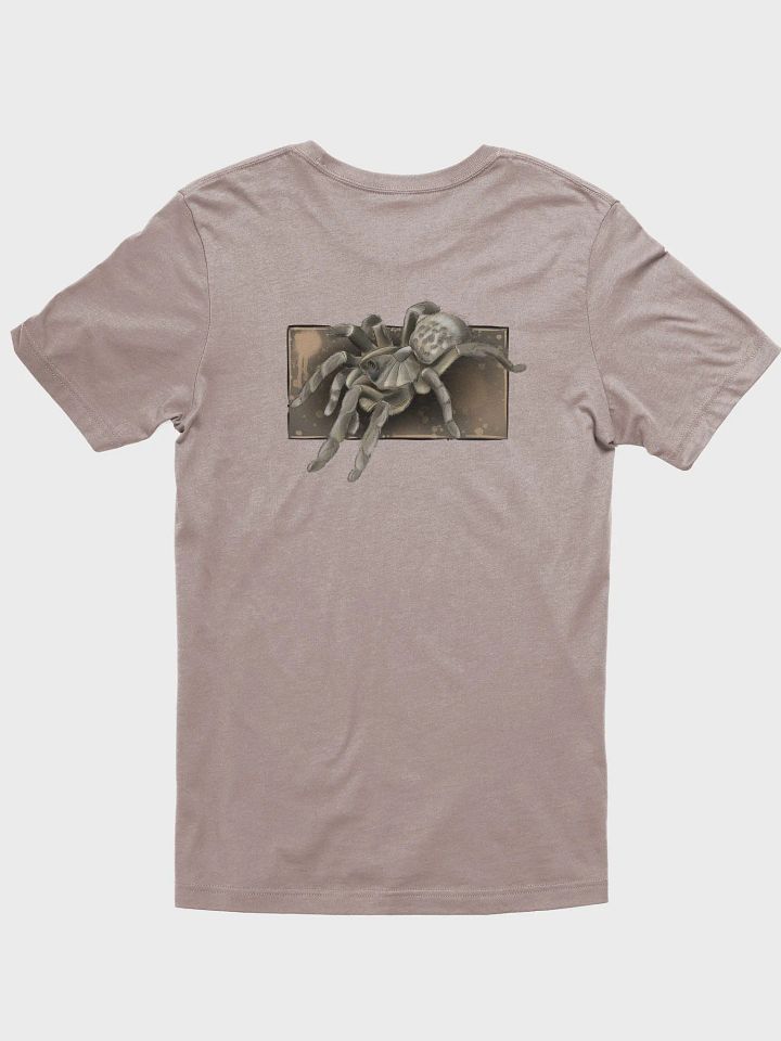 Ceratogyrus darlingi product image (31)