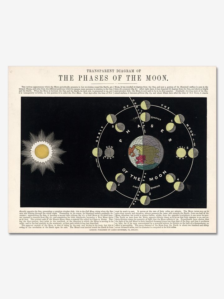 Transparent Phases of The Moon Poster product image (1)