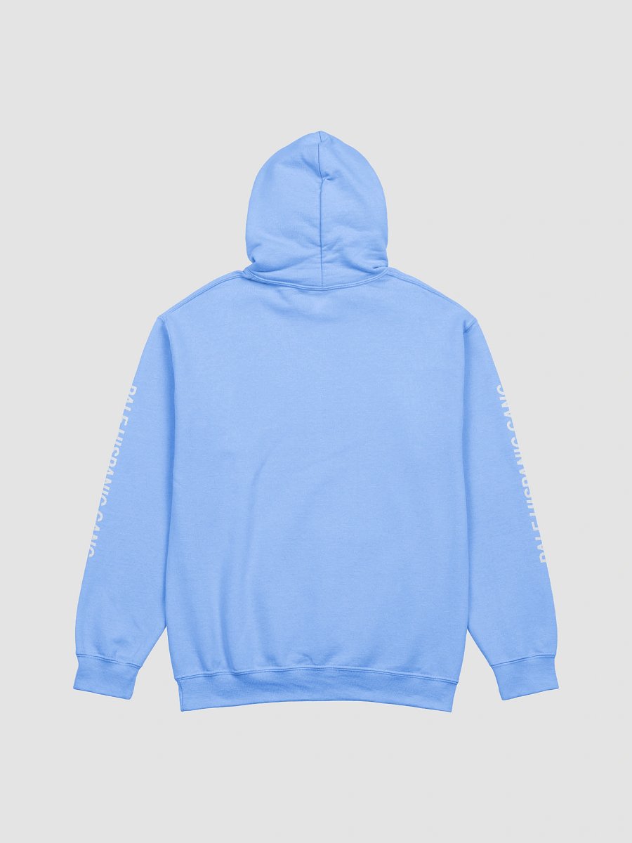 PHG Hoodie (Pastels) product image (8)