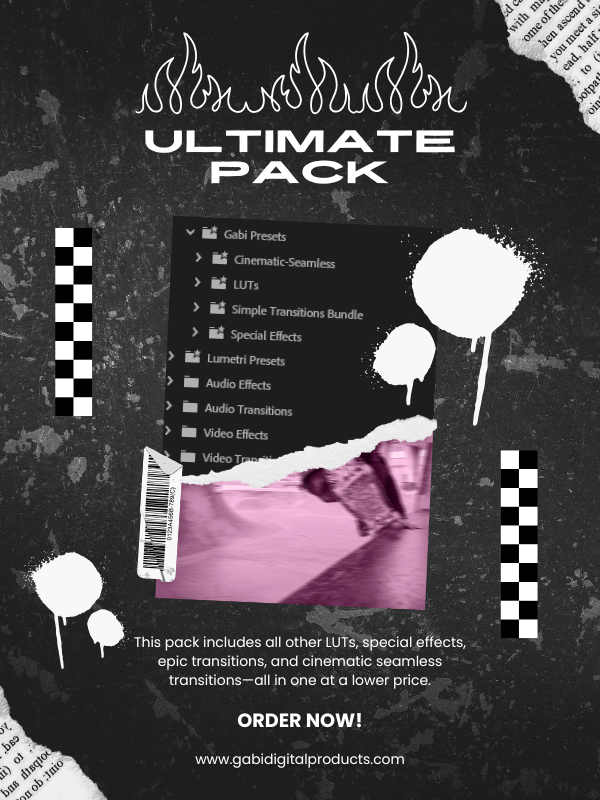 Ultimate MRR/PLR Premiere Presets BUNDLE product image (9)