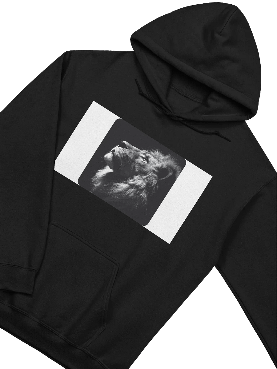Sudadera deportiva product image (6)