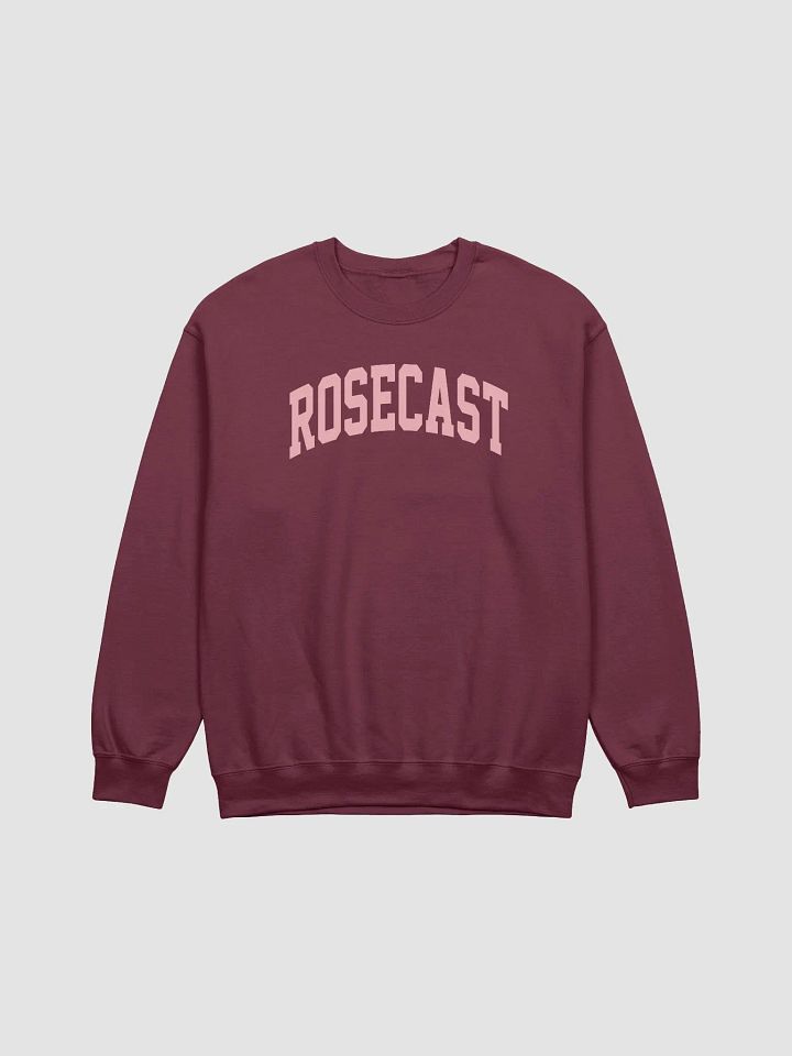 College Block Crewneck Sweatshirt product image (5)