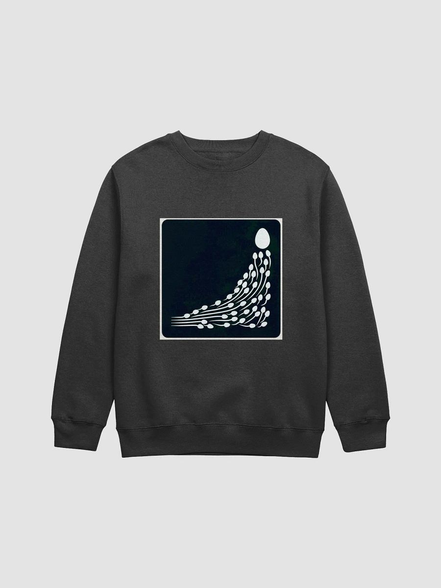 It's time to... f/acc sweatshirt (up to 3XL) product image (1)