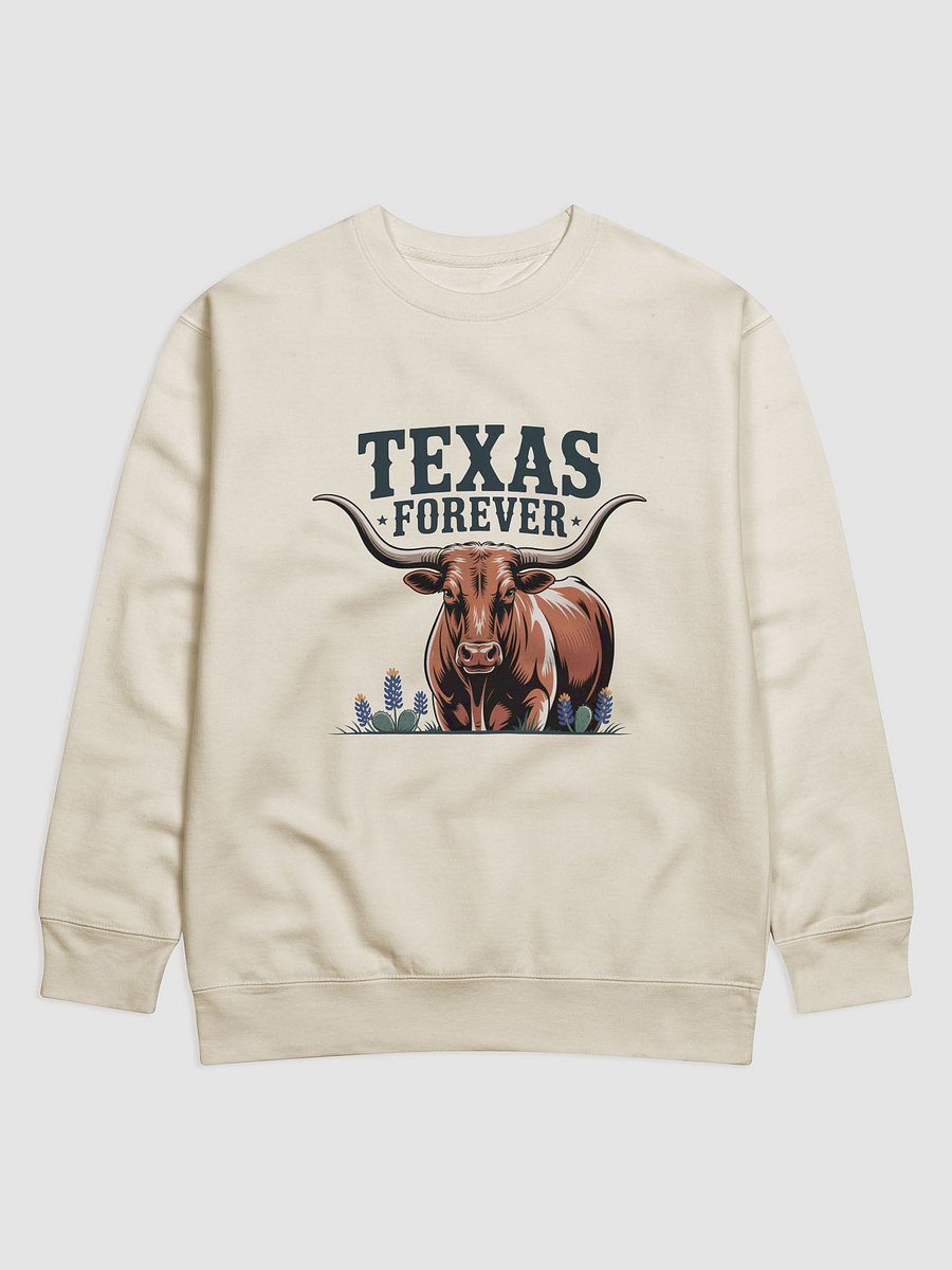 Texas Forever Sweater product image (5)