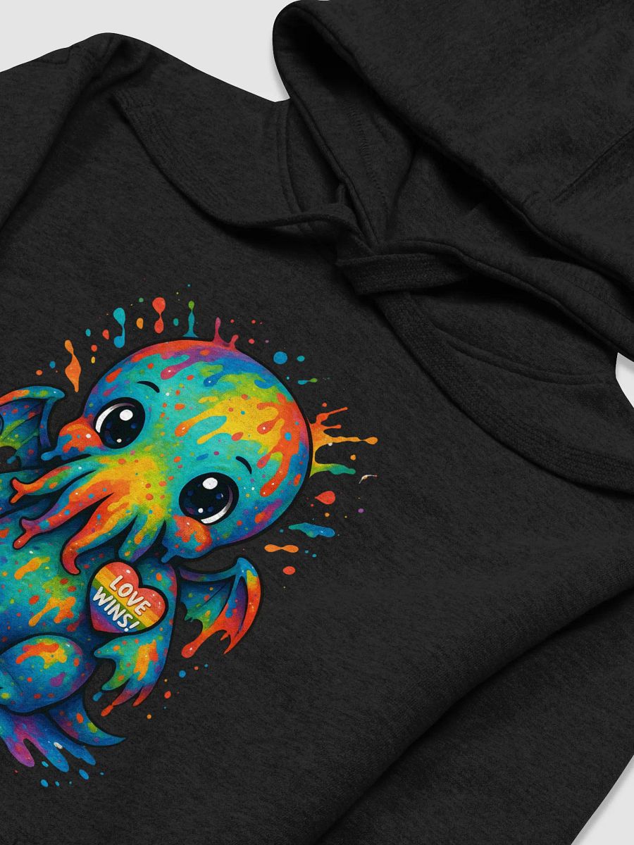 Love Wins Hoodie product image (3)